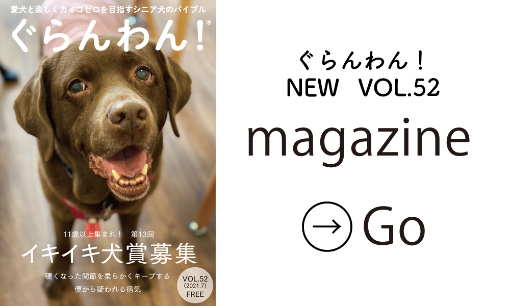 老犬 シニア犬を応援するフリーマガジン ぐらんわん